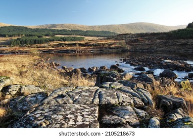 Galloway Forest Park - South West Scotland.