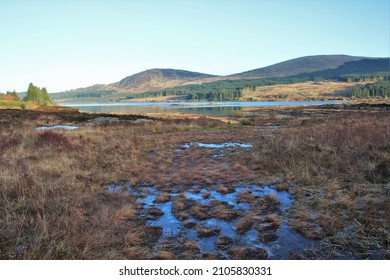 Galloway Forest Park - South West Scotland