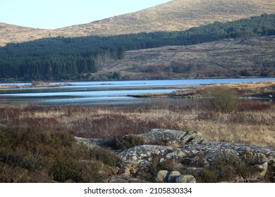 Galloway Forest Park - South West Scotland