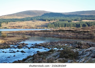 Galloway Forest Park - South West Scotland