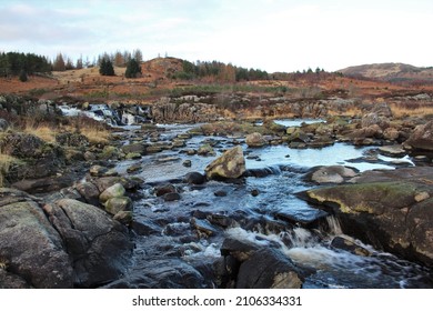 Galloway Forest Park - South West Scotland