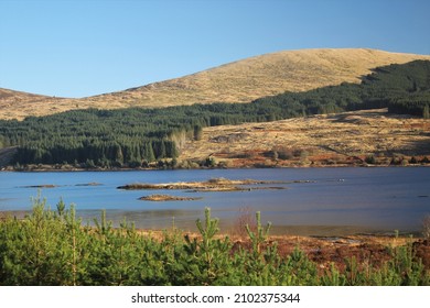 Galloway Forest Park - Southern Scotland