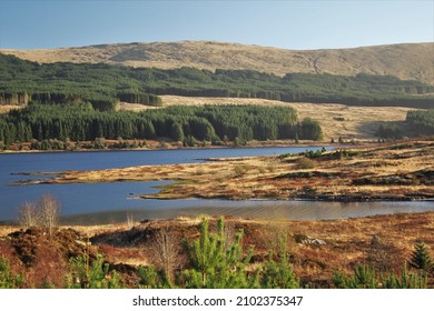 Galloway Forest Park - Southern Scotland