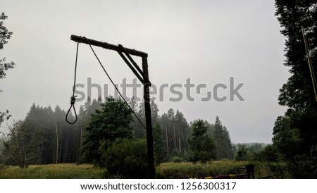 Gallows pole in a mist