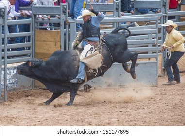 GALLUP , NEW MEXICO - AUGUST 10 : Cowboys Participates in a bull riding Competition at the 92nd annual Indian Rodeo in Gallup, NM on August 10 2013  