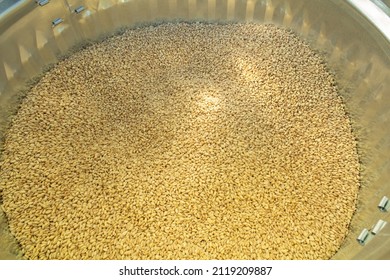 Galvanized Storage Container For Organic Soft White Wheat Grains Or Berries In A Top Down Shot