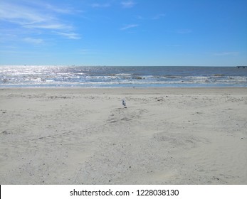 Galveston,Tx Beach View