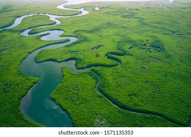 Gambia Mangroves. Aerial view of mangrove forest in Gambia. Photo made by drone from above. Africa Natural Landscape. - Shutterstock ID 1571135353