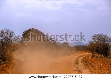 Game drive on dirt road with safari car in national park in beautiful landscape scenery with dust raised from driving car, Africa