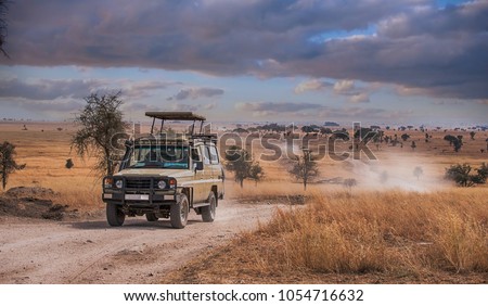 A game drive Safari in Serengeti national park,Tanzania.