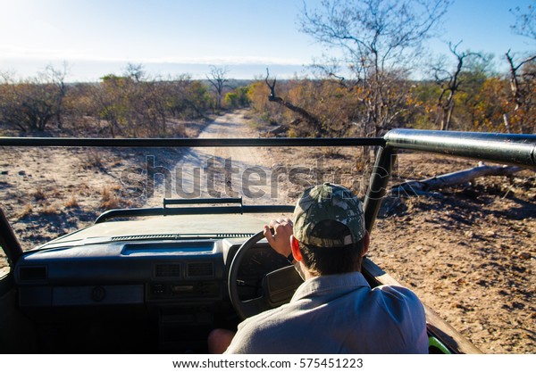 Game drive safari in Tshukudu Private Game\
Reserve, Mpumalanga, Republic South\
Africa.