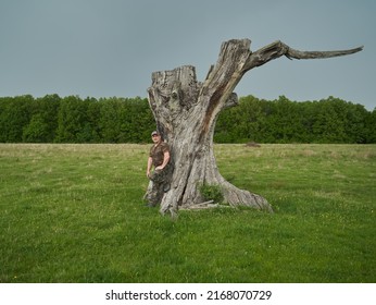 Game Ranger By A Huge Stump In The Oak Forest, Dressed In Camouflage