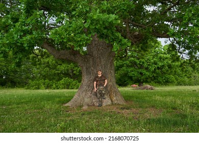 Game Ranger In The Oak Forest, Dressed In Camouflage