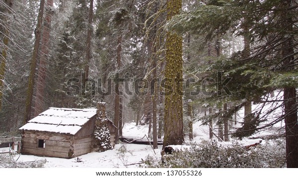 Gamlin Cabin Kings Canyon National Park Stock Photo Edit Now