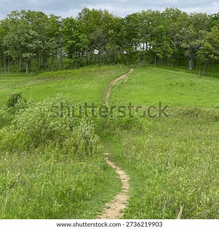 Gander Mountain Loop Trail meandering through a grassy field, leading to a forest, in Antioch, Illinois, USA, in the spring