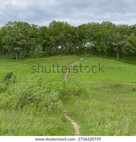 Gander Mountain Loop Trail meandering through a grassy field, leading to a forest, in Antioch, Illinois, USA, in the spring