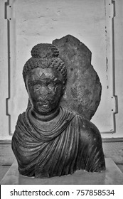 The Gandhara Buddha