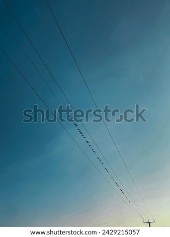 Similar – Image, Stock Photo Vineyard in the morning