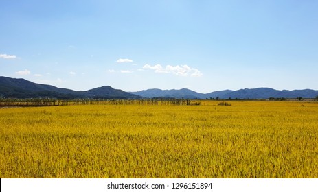 Ganghwa Island Landscape