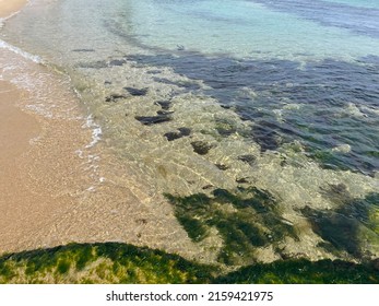 Gangmun Beach In Gangwon Province