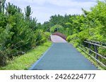 Gangneung City, South Korea - July 29th, 2019: A tranquil bike and walking path, adorned with green pine trees and shrubs, featuring a charming walking bridge, located north of Gyeongpo Beach.