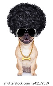 Gangster Cool Afro Dog Wit Gold Chain And Sunglasses, Isolated On White Background