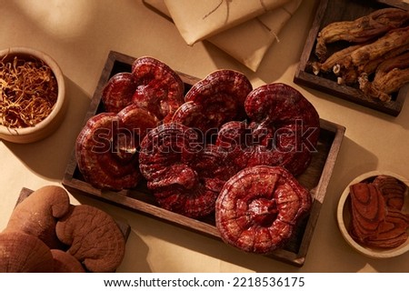 Ganoderma mushroom on a wooden tray with natural medicinal herbs and herbal medicinal root on the golden paper background.