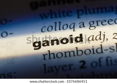 ganoid ganoid concept.