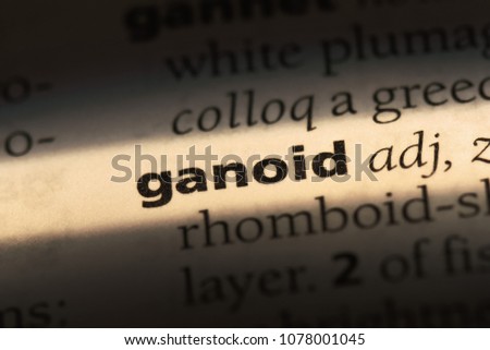ganoid word in a dictionary. ganoid concept