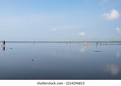 Gaomei Wetland - Taichung, Taiwan