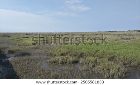 Similar – a tideway leads through the blooming salt marshes on Hallig Gröde