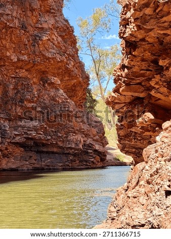 Gap in the range called Simpson’s Gap in central Australia