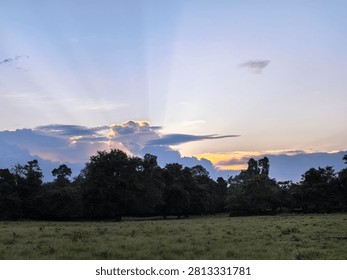 Gaps in the clouds filtered the setting sun’s light, creating dramatic beams of light streaming from behind the lush trees and grasslands