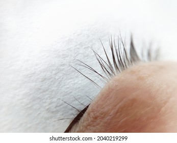 Gaps In Natural Lash Row ,lash Extensions In Beauty Salon . High Quality Photo