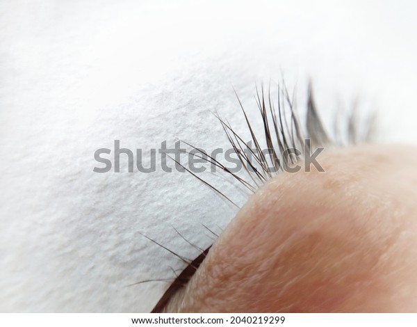 Gaps in natural lash row ,lash extensions in beauty\
salon . High quality photo