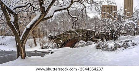 Gapstow Bridge in Central Park after snow storm in the early morning