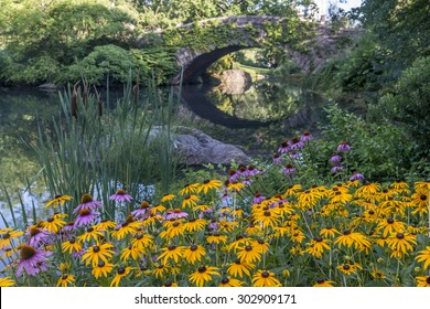 Gapstow Bridge Is One Of The Icons Of Central Park, Manhattan In New York City