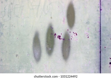 Garage Door Graffiti Stock Photos Images Photography Shutterstock