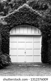 Garage with Ivy 