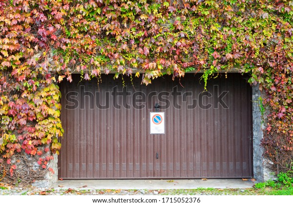 Garage sliding door  with prohibited signs stop
in and out with Boston ivy that climbs their storied walls.Vines
not only lend greenery through the summer,but they also provide
fall color in spring.