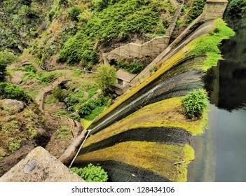 Garajonay National Park, La Gomera, Canary Islands, Spain