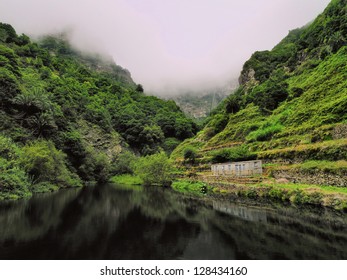 Garajonay National Park, La Gomera, Canary Islands, Spain