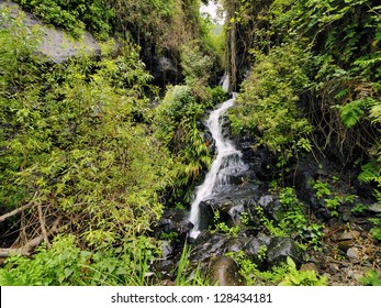 Garajonay National Park, La Gomera, Canary Islands, Spain