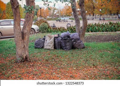 Garbage Bags After Cleaning Stand By The Tree