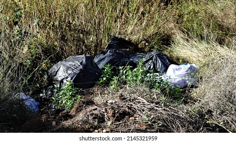 Garbage Bags On An Abandoned Lot