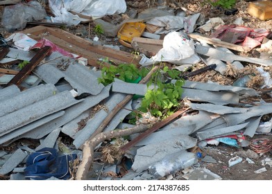 Garbage Being Dumped And Stored In A Vacant Downtown Residential Lot, Raising Issues Of City Waste Management And Public Health