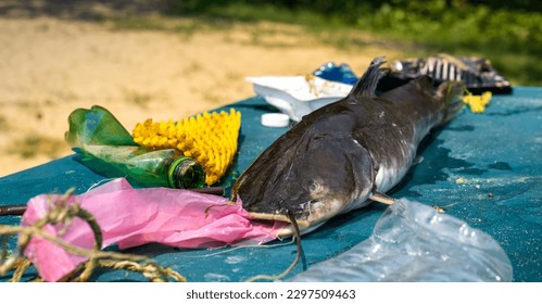 garbage in a dead fish mouth visual representation of the devastating impact of plastic pollution in ocean, waterway, sea habitat and marine life, waste management can protect the environment - Powered by Shutterstock