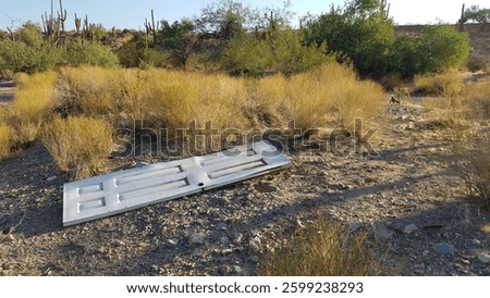 Garbage in the Desert, an Abandoned Door Lays Near Plants