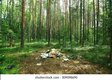 19,301 Imágenes De Forest Dump - Imágenes, Fotos Y Vectores De Stock ...