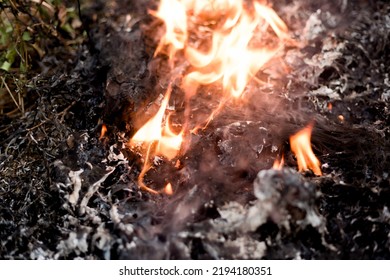 Garbage Fire That Is Black Ashes